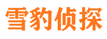 小金寻人公司